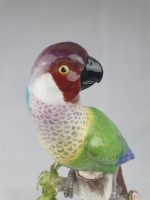 Meissen Parrot Green and Blue Plumage - Image 4