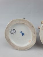 Girl and Boy feeding Chickens and Geese Pink Coats - Image 18