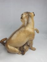 Pair of Large Pugs - Image 7