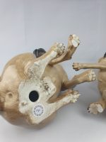 Pair of Large Pugs - Image 14