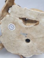 Pair of Large Pugs - Image 16