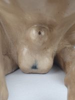 Pair of Large Pugs - Image 19